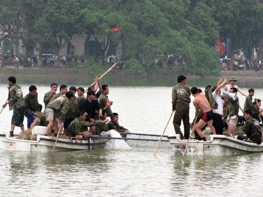 Rùa Hồ Gươm đã vào khu điều trị