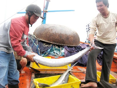 Những biên đội tàu cá Hoàng Sa, Trường Sa