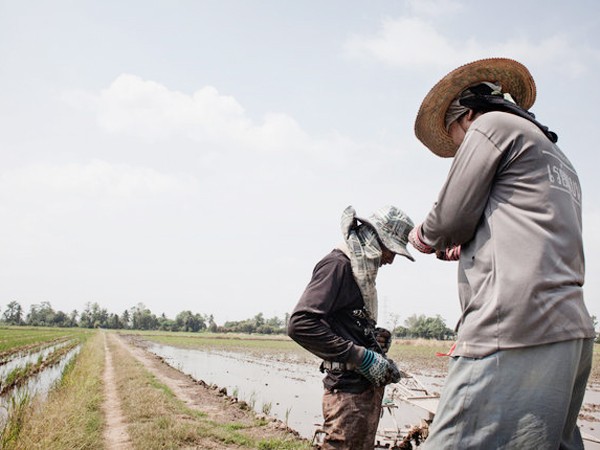 Làng Baan Khlong khoo vắng bóng thanh niên