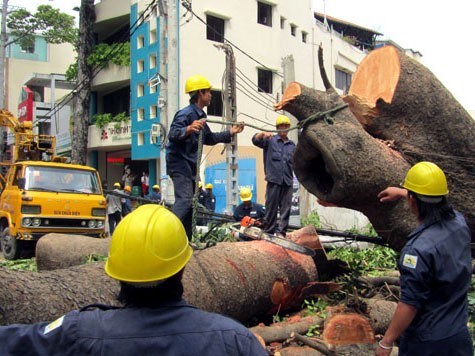 Lãnh đạo TP HCM đồng ý để Sở Lao động - Thương binh và Xã hội cung cấp hồ sơ, tài liệu liên quan đến sai phạm tại 4 công ty Công ích cho Công an TP HCM để cơ quan này điều tra theo quy định