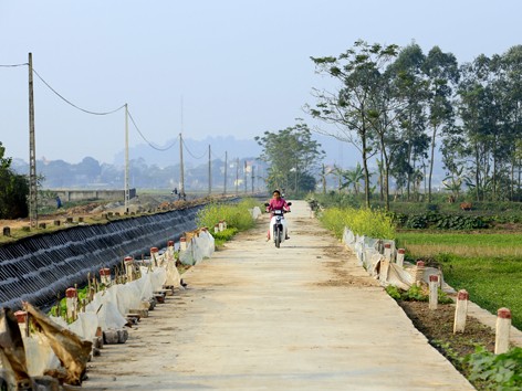 Tiếp bài Chạy theo phong trào, lao đao vì nợ