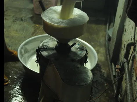 Uống sữa đậu nành mà... run