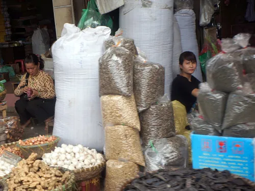 Truy chất độc trong hạt hướng dương