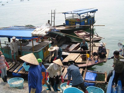 Phát triển bền vững là yêu cầu xuyên suốt