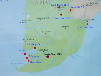 Mũi Cà Mau vì đâu bị bào mòn?