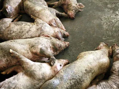 Hai vạn tám dòng sông ở Trung Quốc biến mất