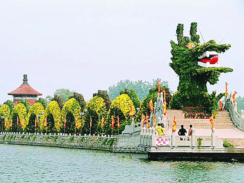 Những kỷ lục về Rồng