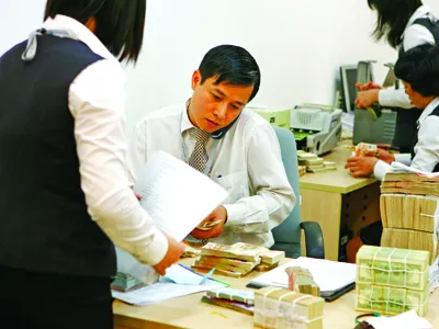 Đua nhau giảm lương lãnh đạo