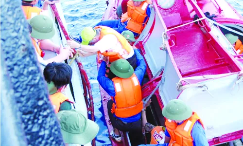 Chuyện chế tạo xuồng CQ-01 “Cá mập”