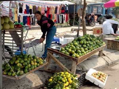 Cam siêu rẻ, giá 10.000 đồng/kg!