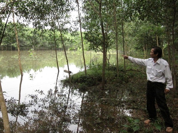 Ông Nguyễn Kim Hợp bên khu đất và ao bị cưỡng chế thu hồi. Ảnh: M.Thùy