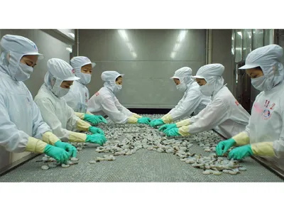 Mỹ áp thuế chống trợ cấp tôm Việt Nam