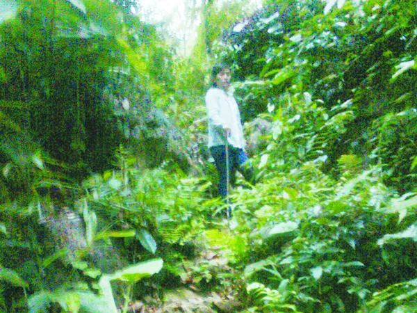 Đời phu vàng