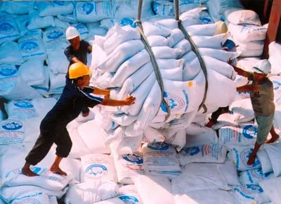 Xuất khẩu gạo đang giảm mạnh