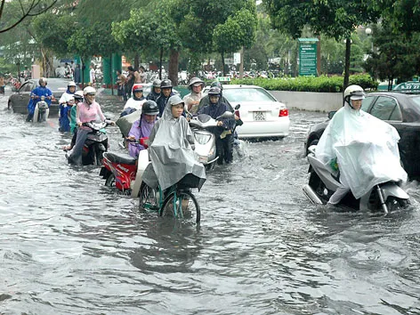 “Sếp công ích”: Vì sao lương khủng?