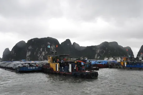 Quảng Ninh: Không có thiệt hại về người trong bão số 14