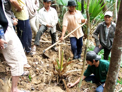 Một nhóm người vừa trúng trầm bì tại rừng Suối Lạnh