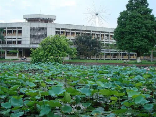 Nhiều trường ĐH,CĐ bị xử phạt hàng trăm triệu