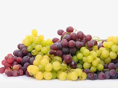 Hợp chất trong nho giúp chống ung thư tuyến tiền liệt