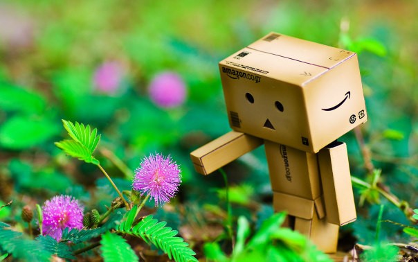 Thế giới cảm xúc của robot Danbo