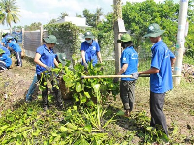 SV ĐH Kinh tế quốc dân làm tình nguyện