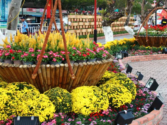 Đường hoa 17 tỷ đồng khoe hương đón Tết