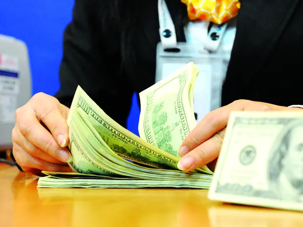 Một số thông tin cho rằng, “đối tượng” đang mang nợ xấu là doanh nghiệp nhà nước và các “đại gia” Ảnh: Hồng Vĩnh