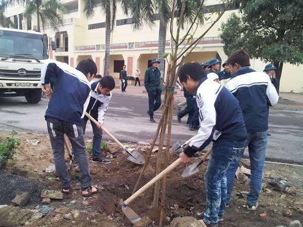 Đoàn viên thanh niên trồng cây xanh tại Cẩm Phả