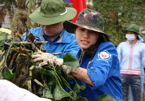 Kết quả tuần 11, câu hỏi tuần 12
