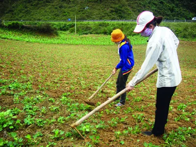 Những thửa ruộng nhấp nhô và đầy đá sỏi không đủ nuôi sống gia đình chị Hồng và người dân Chày Lập