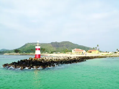 Tỏi cô đơn, thợ lặn và Cá Ông voi ở Lý Sơn