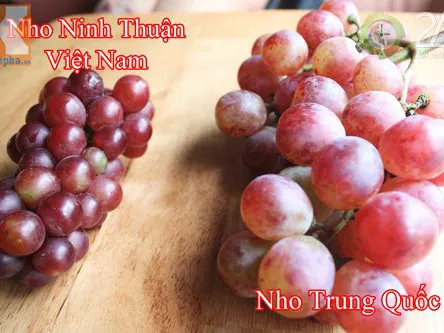 Trái cây Trung Quốc được đổi... quốc tịch