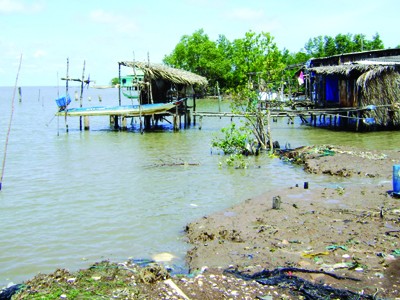 Chống sạt Mũi Cà Mau bằng kè thân thiện môi trường