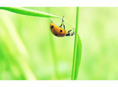 Tuần của bạn (29/8-4/9)