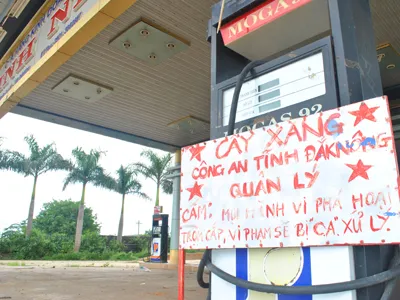 Phong tỏa gần 720 tỷ đồng vụ nữ giám đốc lừa ngân hàng