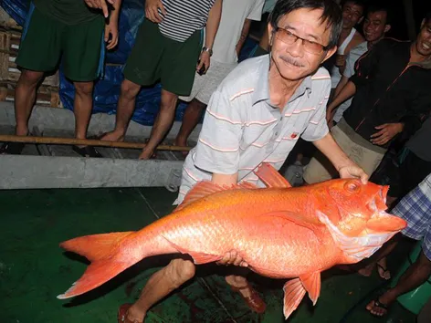 Ông lão 67 mê câu cá Trường Sa
