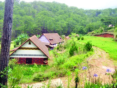 Rong chơi làng Cù Lần