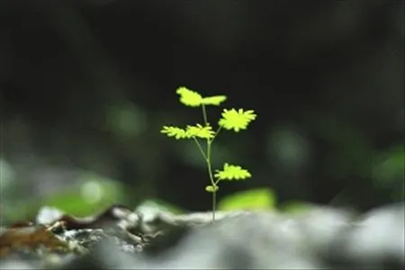 Cư xử đẹp giữa người với người
