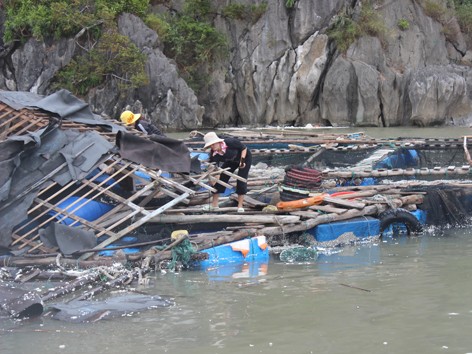 Bốn người chết, mất tích