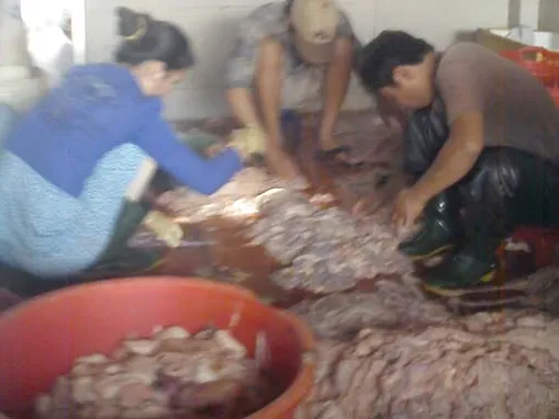 'Công nghệ' làm lạp xưởng, chà bông siêu bẩn