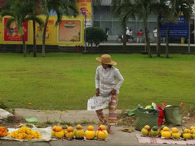 Nông nghiệp nhìn từ vỉa hè Tết