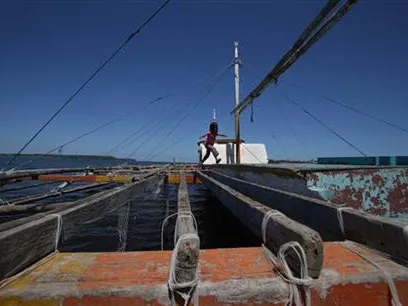 Một em bé nô đùa trên một chiếc tàu cá bị bỏ rơi trên bờ biển Philippines