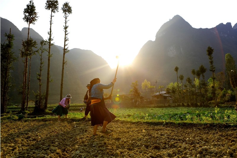 [ẢNH] Vẻ đẹp hồn hậu của người dân Cao nguyên đá