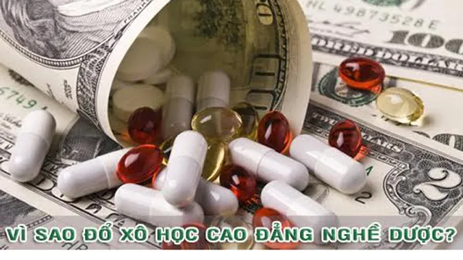 Trường cao đẳng nào đào tạo dược sĩ chuyên nghiệp?