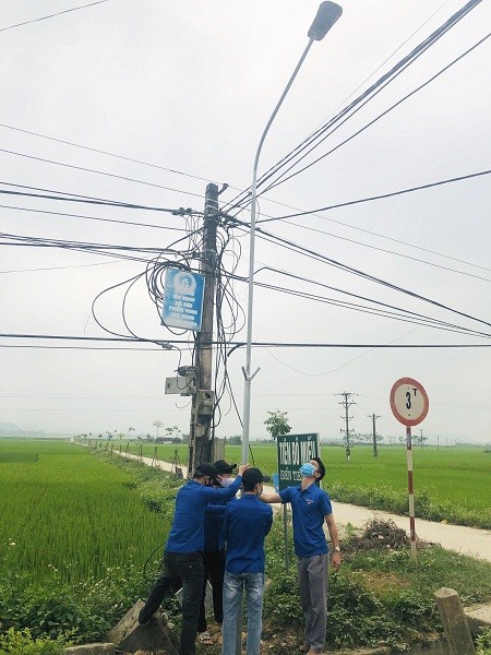 Các ĐVTN miệt mài lắp bóng đèn