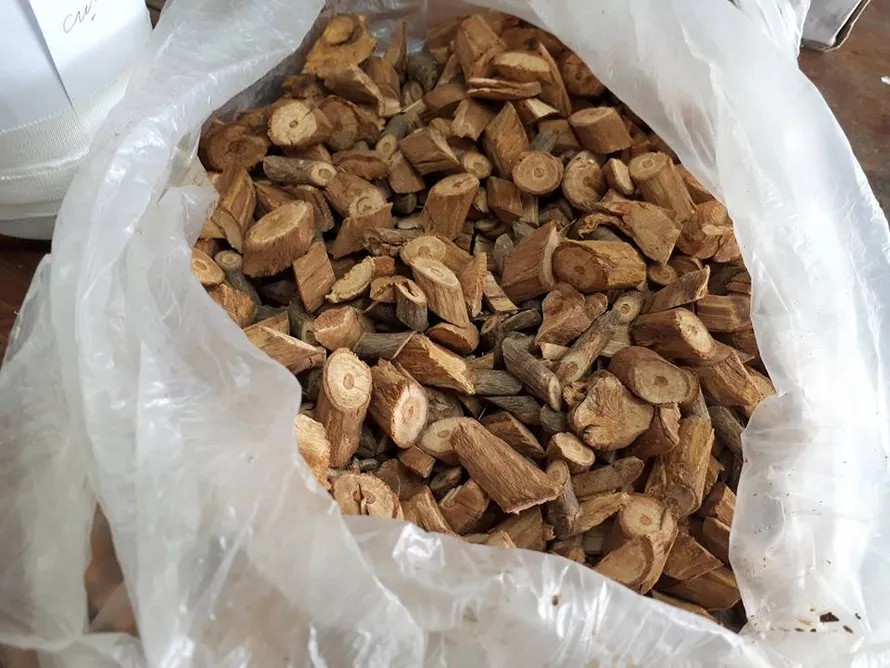 Số rễ, thân cây được ông Đi lấy trong rừng về ngâm rượu.