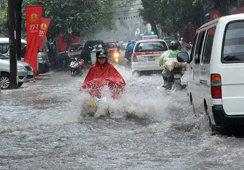 Hà Nội ứng phó với ngập lụt, cây đổ trước bão số 3
