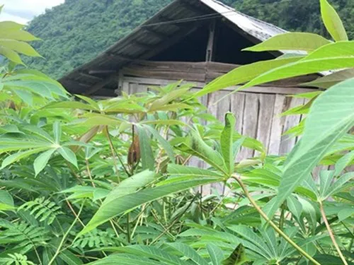 Hiện trường vụ án