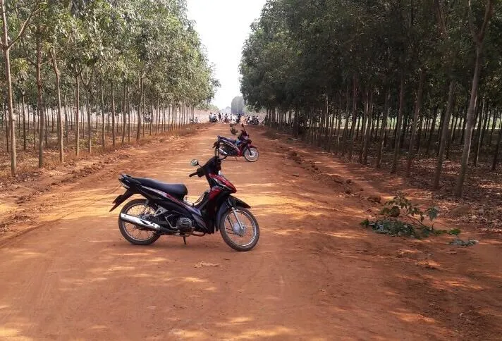 Nơi phát hiện nhiều dấu vết, nghi ngờ là nơi nạn nhân bị tấn công