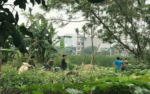Khu vực nơi phát hiện thi thể